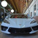 C8Reveal ()